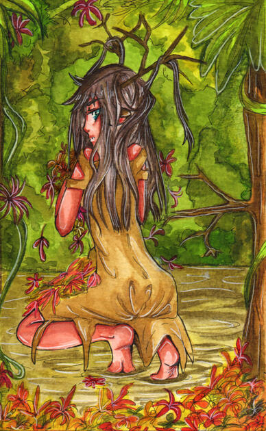 Deer